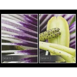 Ekscentryczność natury - zdjęcie na płótnie - 120x80 cm