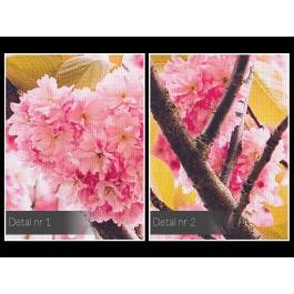 Majowy sen - fotoobraz na płótnie - 120x80 cm Majowy sen - fotoobraz na płótnie - 120x80 cm