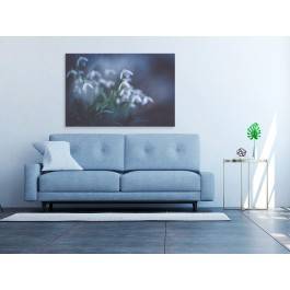 Czystość bieli - fotografia na płótnie - 120x80 cm Czystość bieli - fotografia na płótnie - 120x80 cm