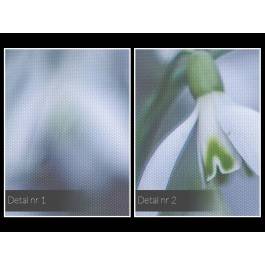 Czystość bieli - fotografia na płótnie - 120x80 cm Czystość bieli - fotografia na płótnie - 120x80 cm