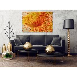 Kameleon - fotoobraz do salonu - 120x80 cm