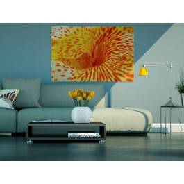 Kameleon - fotoobraz do salonu - 120x80 cm