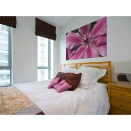 Kwietne przebudzenie - zdjęcie na płótnie - 120x80 cm