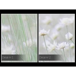 W krainie niewinności - fotoobraz na płótnie - 120x80 cm