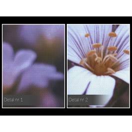 Kokieteria natury - fotoobraz do sypialni - 120x80 cm