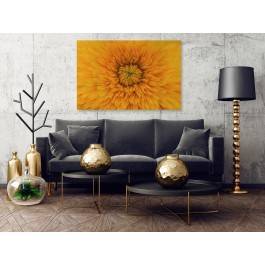 Tysiące promieni słońca - fotografia na płótnie - 120x80 cm