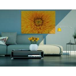 Tysiące promieni słońca - fotografia na płótnie - 120x80 cm