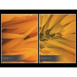 Tysiące promieni słońca - fotografia na płótnie - 120x80 cm