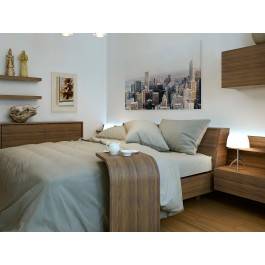 Widok na Chicago - fotografia na płótnie - 120x80 cm