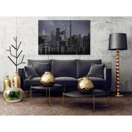 Panorama Toronto - zdjęcie na płótnie - 120x80 cm