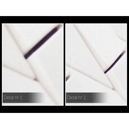 Rytm bieli - fotoobraz na płótnie - 120x80 cm