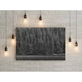 Bezkres lasów - zdjęcie na płótnie - 120x80 cm Bezkres lasów - zdjęcie na płótnie - 120x80 cm
