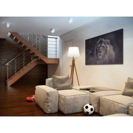 Król zwierząt - fotoobraz do sypialni - 120x80 cm