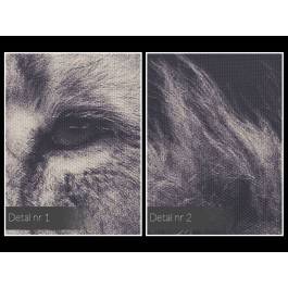 Król zwierząt - fotoobraz do sypialni - 120x80 cm