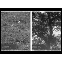 W dobrą stronę - fotoobraz na płótnie - 120x80 cm W dobrą stronę - fotoobraz na płótnie - 120x80 cm