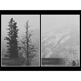 Wędrówka dusz - fotoobraz do salonu - 120x80 cm