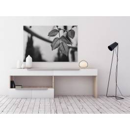 Łzy deszczu - fotoobraz na płótnie - 120x80 cm