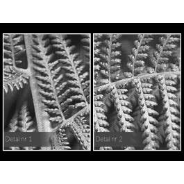 Odrodzenie - fotoobraz do salonu - 120x80 cm Odrodzenie - fotoobraz do salonu - 120x80 cm