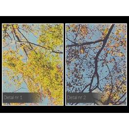 Bujać w obłokach - fotoobraz na płótnie - 120x80 cm