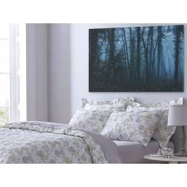 Zakazany las - zdjęcie na płótnie - 120x80 cm