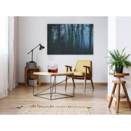 Zakazany las - zdjęcie na płótnie - 120x80 cm