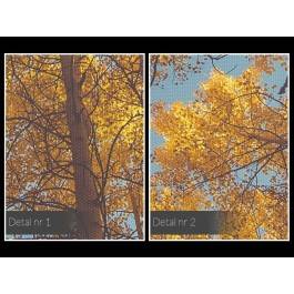 Żółty, jesienny liść - fotoobraz do sypialni - 120x80 cm Żółty, jesienny liść - fotoobraz do sypialni - 120x80 cm