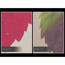 Jesienne porządki - zdjęcie na płótnie - 120x80 cm