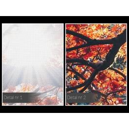 Nim opadną liście - fotoobraz do salonu - 120x80 cm