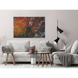 Jesienna paleta barw - nowoczesny obraz na płótnie - 120x80 cm Jesienna paleta barw - nowoczesny obraz na płótnie - 120x80 cm