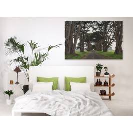 Posągowość natury - fotoobraz do sypialni - 120x80 cm