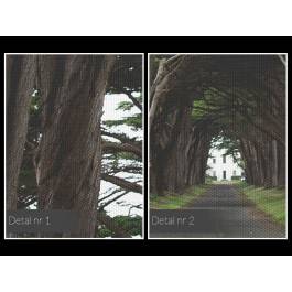 Posągowość natury - fotoobraz do sypialni - 120x80 cm