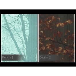 W nieznane - zdjęcie na płótnie - 120x80 cm