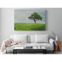Wirtuozja zieleni - nowoczesny obraz na płótnie - 120x80 cm Wirtuozja zieleni - nowoczesny obraz na płótnie - 120x80 cm