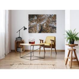 Deszcz jesiennych liści - fotoobraz do salonu - 120x80 cm Deszcz jesiennych liści - fotoobraz do salonu - 120x80 cm