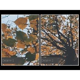 Deszcz jesiennych liści - fotoobraz do salonu - 120x80 cm Deszcz jesiennych liści - fotoobraz do salonu - 120x80 cm