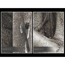 Na zawsze razem - fotoobraz do salonu - 120x80 cm