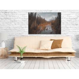 Pomnik przyrody - fotoobraz do salonu - 120x80 cm