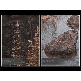 Pomnik przyrody - fotoobraz do salonu - 120x80 cm