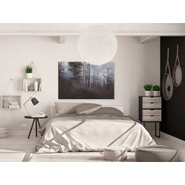 Baśniowy las - fotografia na płótnie - 120x80 cm Baśniowy las - fotografia na płótnie - 120x80 cm