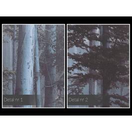 Baśniowy las - fotografia na płótnie - 120x80 cm Baśniowy las - fotografia na płótnie - 120x80 cm