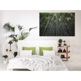 Bambusowy las - fotoobraz do sypialni - 120x80 cm