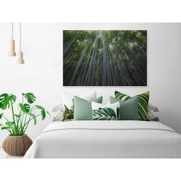 Bambusowy las - fotoobraz do sypialni - 120x80 cm