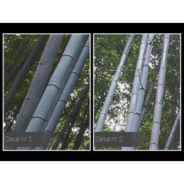 Bambusowy las - fotoobraz do sypialni - 120x80 cm