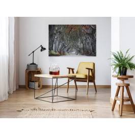 Osobliwy szlak - fotoobraz do salonu - 120x80 cm Osobliwy szlak - fotoobraz do salonu - 120x80 cm