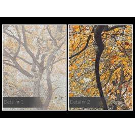 Dary jesieni - fotoobraz do sypialni - 120x80 cm Dary jesieni - fotoobraz do sypialni - 120x80 cm