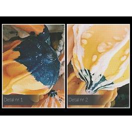 Święto dyni - fotoobraz do kuchni - 120x80 cm