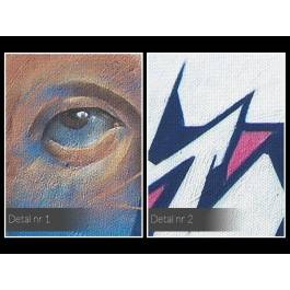 Transformacja jaźni - fotoobraz do salonu - 120x80 cm