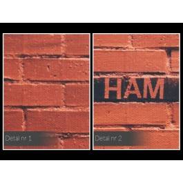 Smoking cures ham - fotoobraz do sypialni - 120x80 cm Smoking cures ham - fotoobraz do sypialni - 120x80 cm